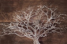 Samolepiaca tapeta majestátna koruna stromu na drevenom pozadí