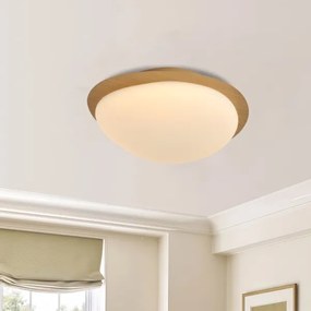 Brilagi - LED stropné svietidlo VISBY WOOD LED/18W/230V pr. 38 cm hnedá