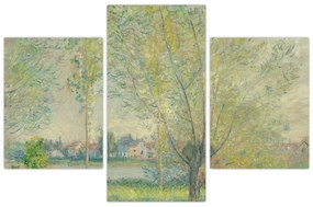 Obraz - Claude Monet, The Willows, reprodukcia (90x60 cm)