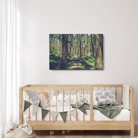Obraz cesty medzi stromami (90x60 cm)