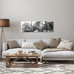 Obraz - Čiernobiele boudoir (s hodinami) (90x30 cm)