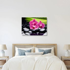 Sklenený obraz - Ružové orchidey s palmovým listom (70x50 cm)