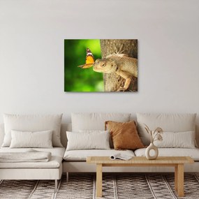 Obraz - Jašter (70x50 cm)