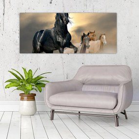 Obraz - Kone (120x50 cm)