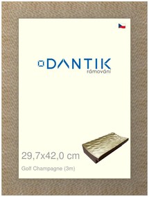 DANTIK rám na obraz 29,7x42 | Golf champagne (Plexi Čiré)