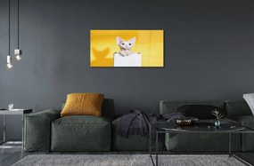 Sklenený obraz sediaci mačka 125x50 cm