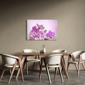 Obraz - Motýľ na kvetoch orchidey, lila (90x60 cm)