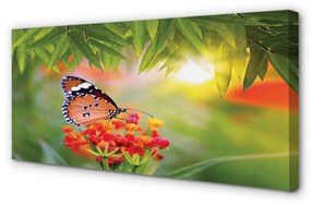 Obraz na plátne Farebný motýľ kvety 125x50 cm
