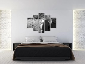 Obraz - Slonia noha (150x105 cm)