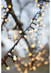 Vonkajšia svetelná LED reťaz Star Trading Berry Mini, dĺžka 6 m