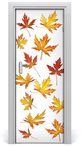 Fototapeta na dvere jesenné kvety 75x205 cm