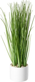 XXXLutz DEKORAČNÁ TRÁVA 30 cm Ambia Home - Kvety & kvetináče - 0039530040
