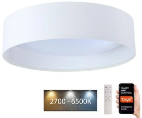 BPS Koncept LED Stmievateľné svietidlo SMART GALAXY LED/36W/230V pr. 55 cm Wi-Fi Tuya + DO BS0606