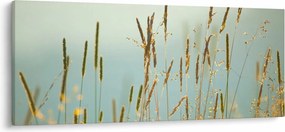 Obraz - Lúčny okamih (120x50 cm)