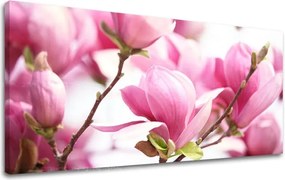 Obraz na stenu PANORÁMA KVETY KV002E13 - 50x100 cm