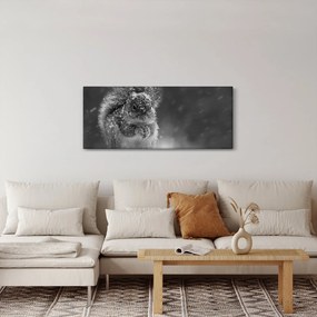 Obraz - Veverička v zime (120x50 cm)