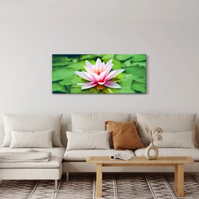 Obraz lekna na hladine (120x50 cm)
