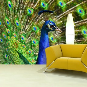 Sablio Tapeta Páv - 336x220 cm