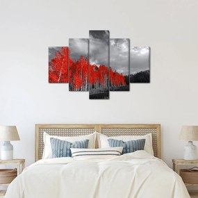 Obraz - Stromy vo farbe jesene (150x105 cm)