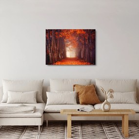 Sklenený obraz - Jesenné les (70x50 cm)