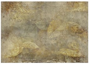 Artgeist Fototapeta - Stone Nature Veľkosť: 245x175, Verzia: Samolepiaca