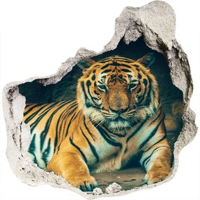 Samolepiaca nálepka Tiger cave nd-p-121530926