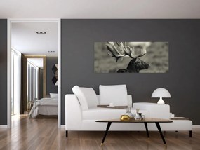 Obraz - Jeleň (120x50 cm)