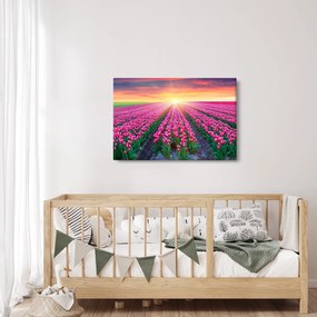 Obraz poľa tulipánov so slnkom (90x60 cm)