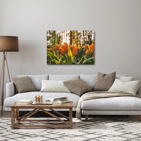 Obraz - kvety tulipánov (70x50 cm)