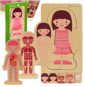 KIK Drevené vrstvené Montessori puzzle Ľudské telo – 28 dielikov, anatomické pre deti
