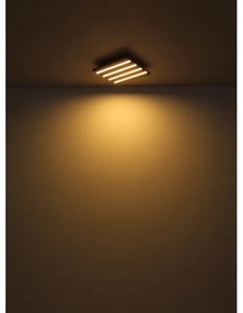 Globo 67347D2 - LED stropné svietidlo HAYDEN LED/30W/230V 3000K 45x45 cm