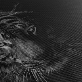 Obraz divokého tigra (120x50 cm)