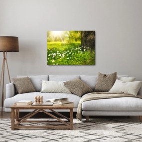 Obraz paseky a kvetín (70x50 cm)
