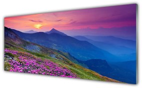 Obraz na akrylátovom skle Hory lúka kvety príroda 125x50 cm