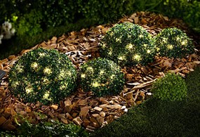 Weltbild Solárna záhradná dekorácia Buxus, sada 4 ks