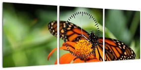 Obraz motýľa na kvetine (s hodinami) (90x30 cm)