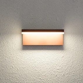 Brilagi - vonkajšie nástenné LED svietidlo TESSI LED/10W/230V hnedé IP54