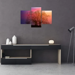 Obraz stromov v hmle (90x60 cm)