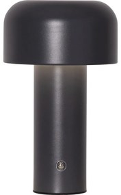 Sivá LED stolová lampa (výška 21,5 cm) Bobby – Star Trading