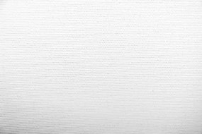 Plátno maliarske v roli 1.83x10m E5305