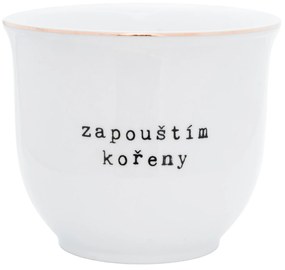 Bella Rose Porcelánový obal na kvetináč Zapouštím kořeny 13 cm - CZ