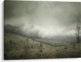Obraz krajiny pred búrku (70x50 cm)