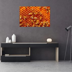 Obraz - Medový plást (90x60 cm)
