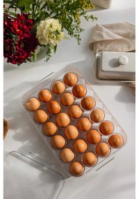 Plastový organizér do chladničky na vajíčka 33x21 cm – Casa De Engel