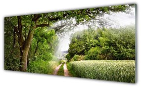 Obraz plexi Stromy chodník príroda 125x50 cm