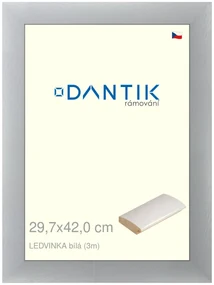 DANTIK rám na obraz 29,7x42 | LEDVINKA bílá (Plexi Čiré)
