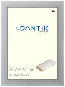 DANTIK rám na obraz 29,7x42 | LEDVINKA bílá (Plexi Čiré)