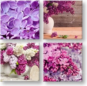 Obraz na stenu Lilacs 4 dielny XOBKOL05E42