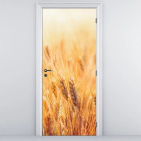 Fototapeta na dvere - Pole s obilím (95x205cm)