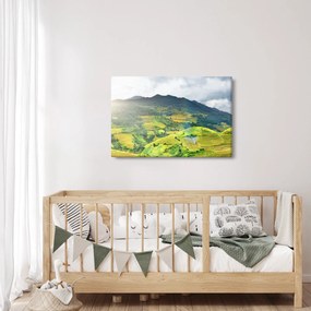 Obraz plantáže (90x60 cm)